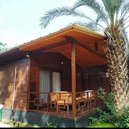 Olympos Yavuz Hotel Чирали Экстерьер фото