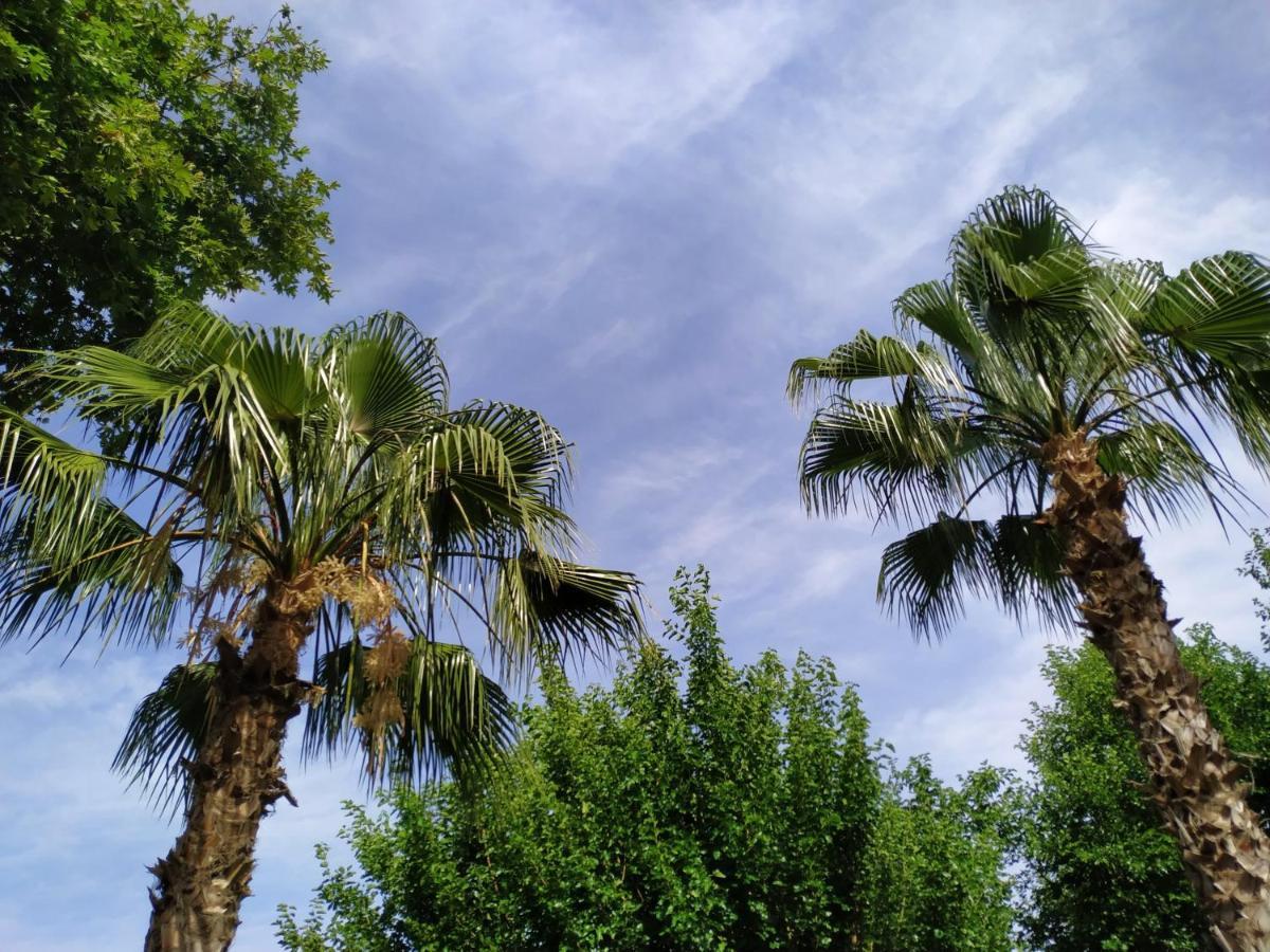 Olympos Yavuz Hotel Чирали Экстерьер фото
