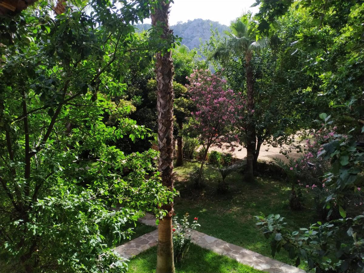 Olympos Yavuz Hotel Чирали Экстерьер фото
