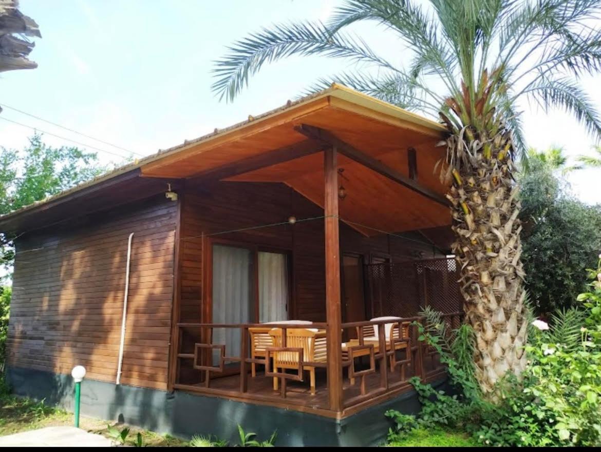 Olympos Yavuz Hotel Чирали Экстерьер фото
